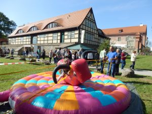 Bullenreiten an der Burg Storkow