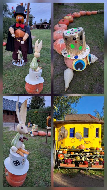 Aktivitäten und Kreativangebote im Spätsommer