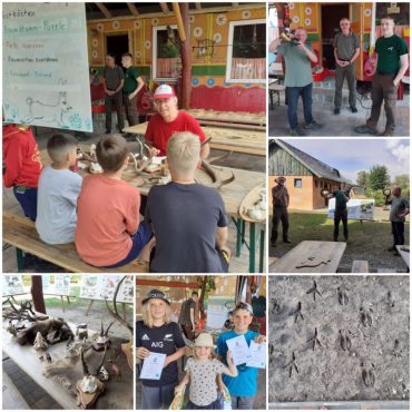 Grünes Wochenende mit Waldschule